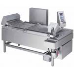 Gas Continuous Automatic Fryer